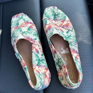 Tropical flower Toms